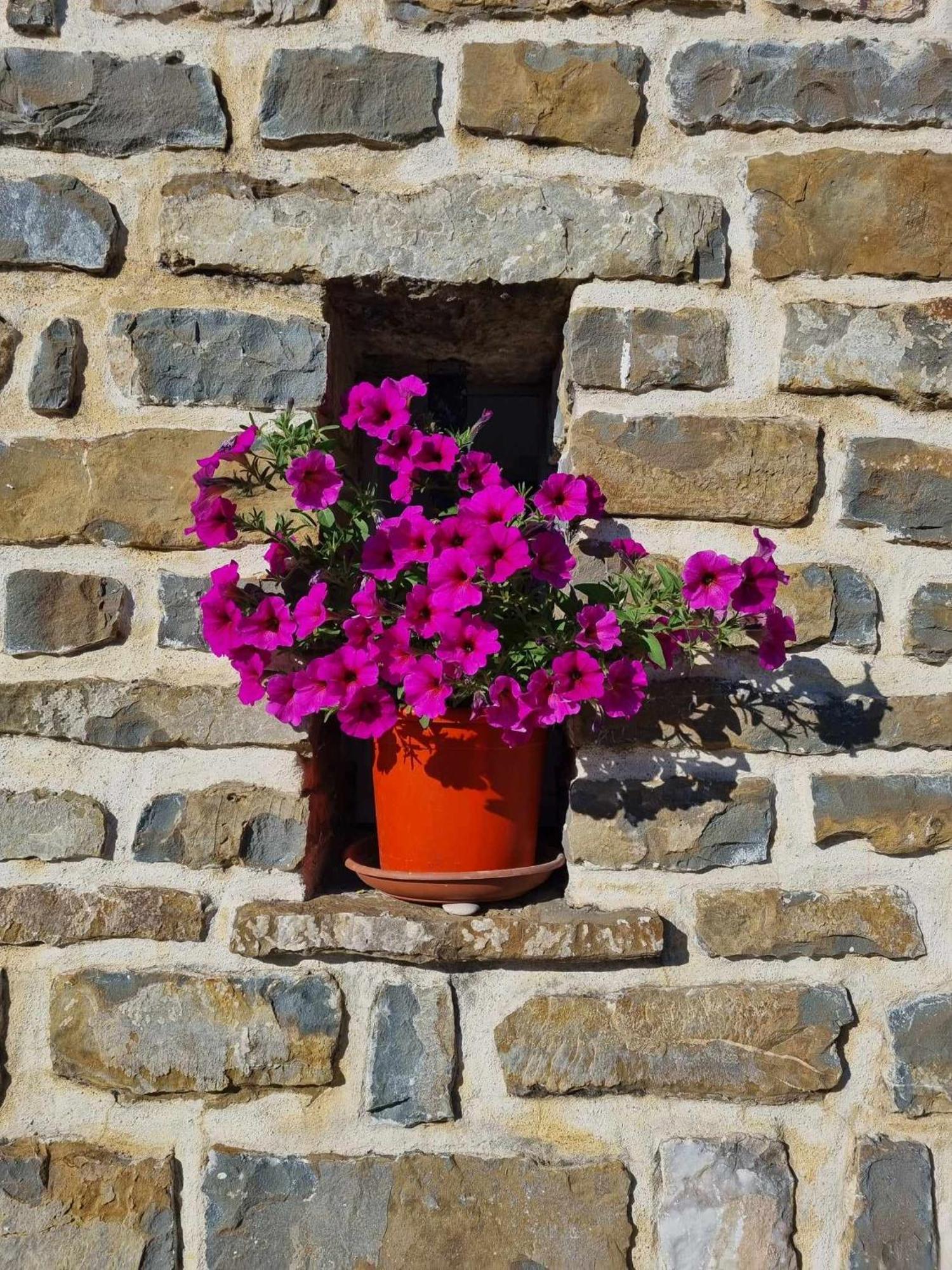 Gite Les Trois Abeilles Besignan Exterior photo